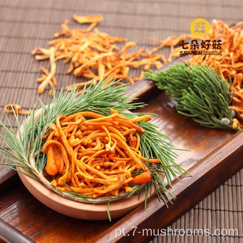 Flor ISO22000 Healthy Frozen Cordyceps